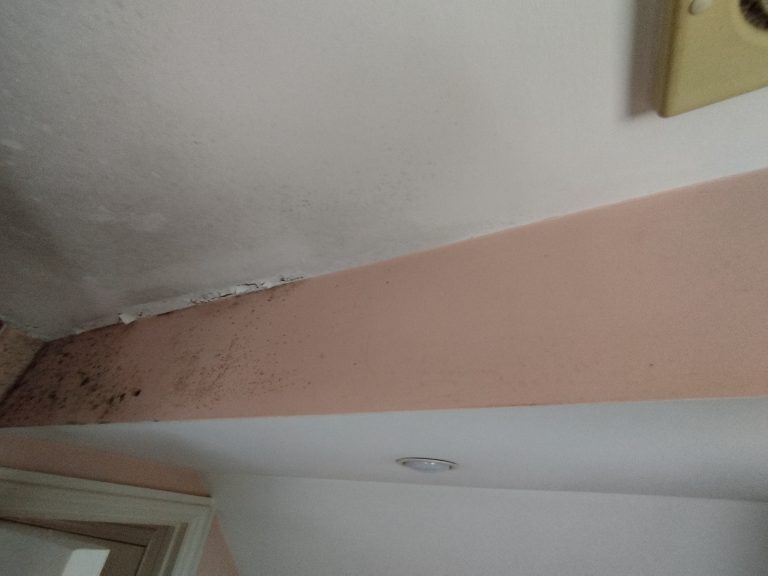 Bedfordshire Professional Painter & Decorator Buckinghamshire Milton Keynes Tikkurila Luja 7