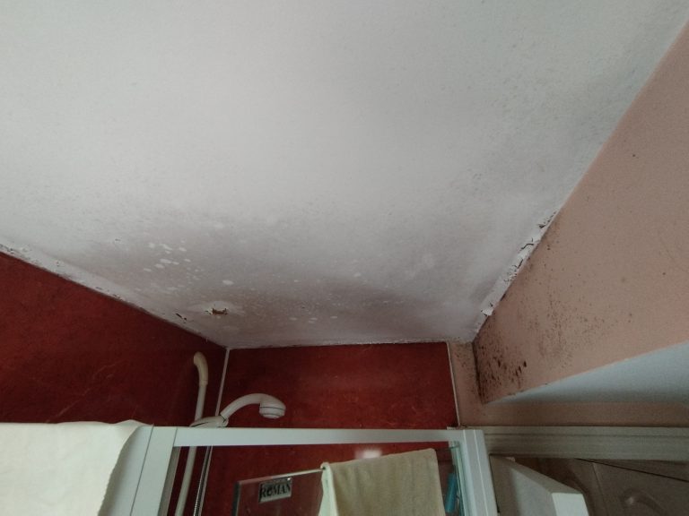 Leighton Buzzard Painter & Decorator Zinsser Mould Resistant Bathroom Paint Milton Keynes