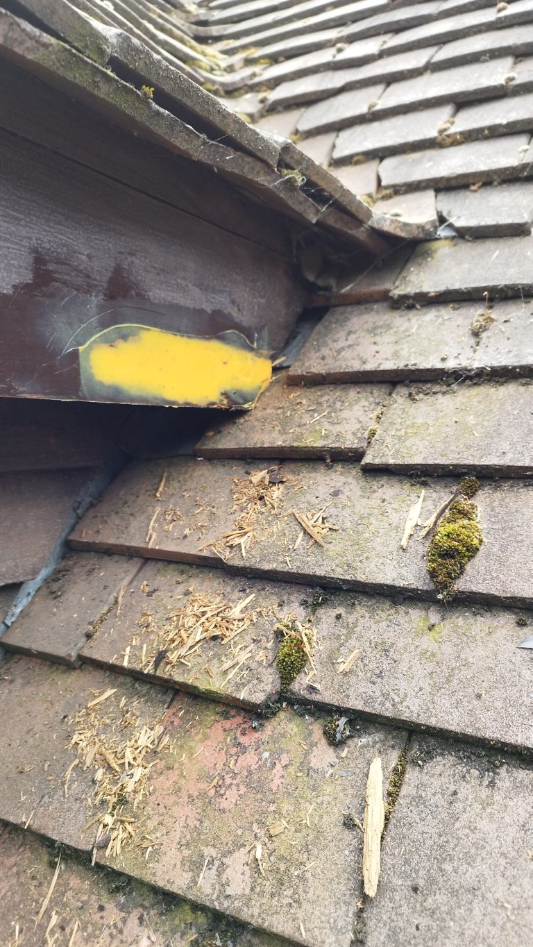 Milton Keynes Repair Care Resin Systems Professional Painting & Decorating Services